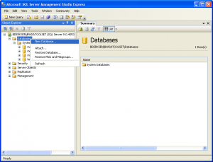 Management studio new database.png