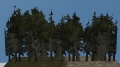 Prp treeline1 0.jpg