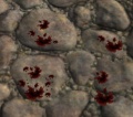 Prp bloodstains 0.jpg