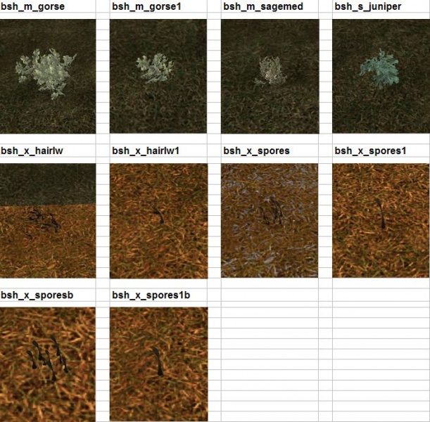 File:Bushes3.jpg
